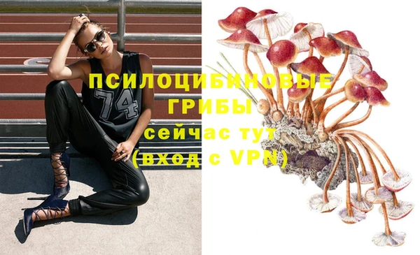 2c-b Краснотурьинск